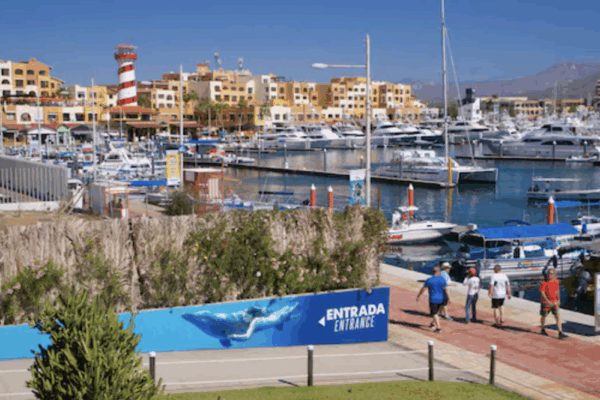 Cabo Dolphins

14 min walk