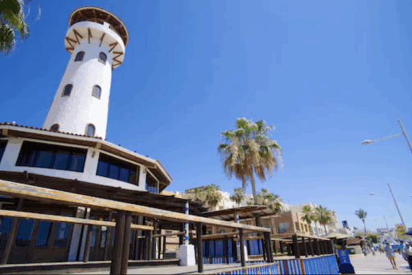 Cabo San Lucas Marina featuring yachts, waterfront walkways, shops, and restaurants in the Marina del Rey district.