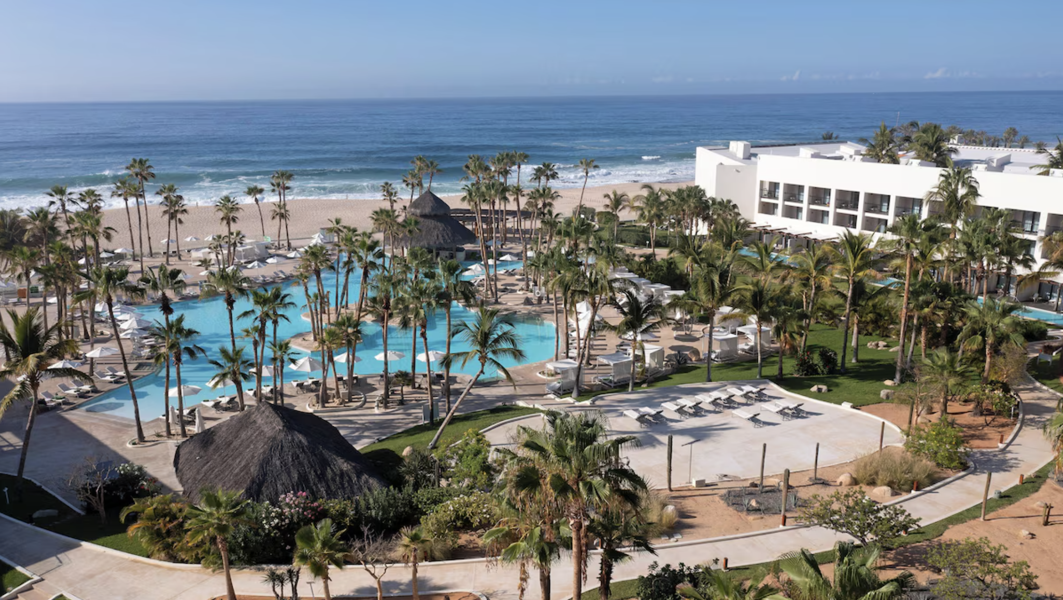 Paradisus Los Cabos beachfront resort with lagoon-style pool, palm trees, and views of the Sea of Cortez.